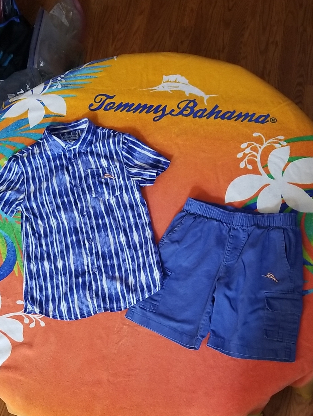 Tommy Bahama Set Blue Striped Short-Sleeve Button Shirt and Blue Shorts Size 6